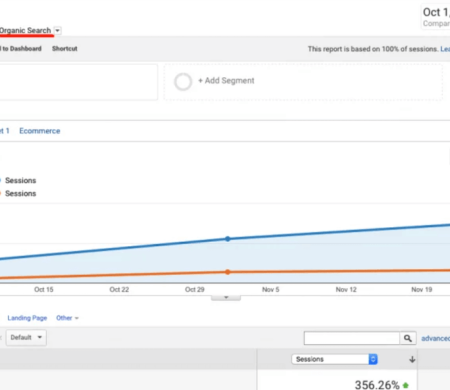 Organinio srauto augimas +356.26%