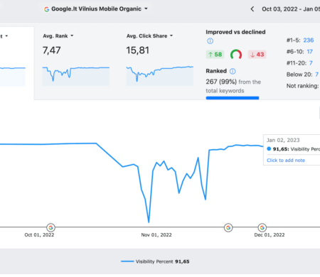 Atstatytas SEO matomumas nuo 24% iki 91% (Per 1 mėn.)