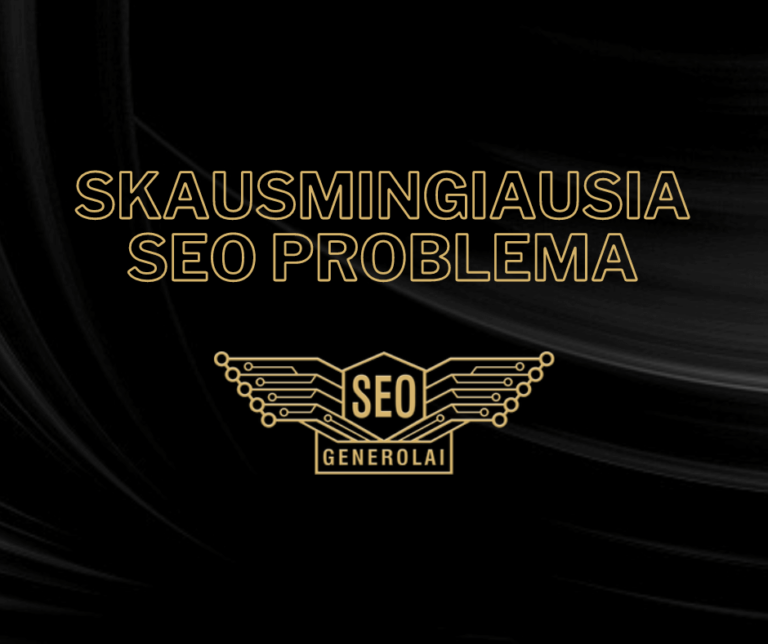 Skausmingiausia SEO problema verslo įmonėms