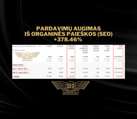 +378.46% pardavimų augimas iš SEO (2024 m. gegužė)