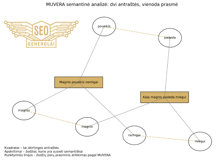 Kas yra MUVERA ir GFM? Kuo jie svarbūs SEO?